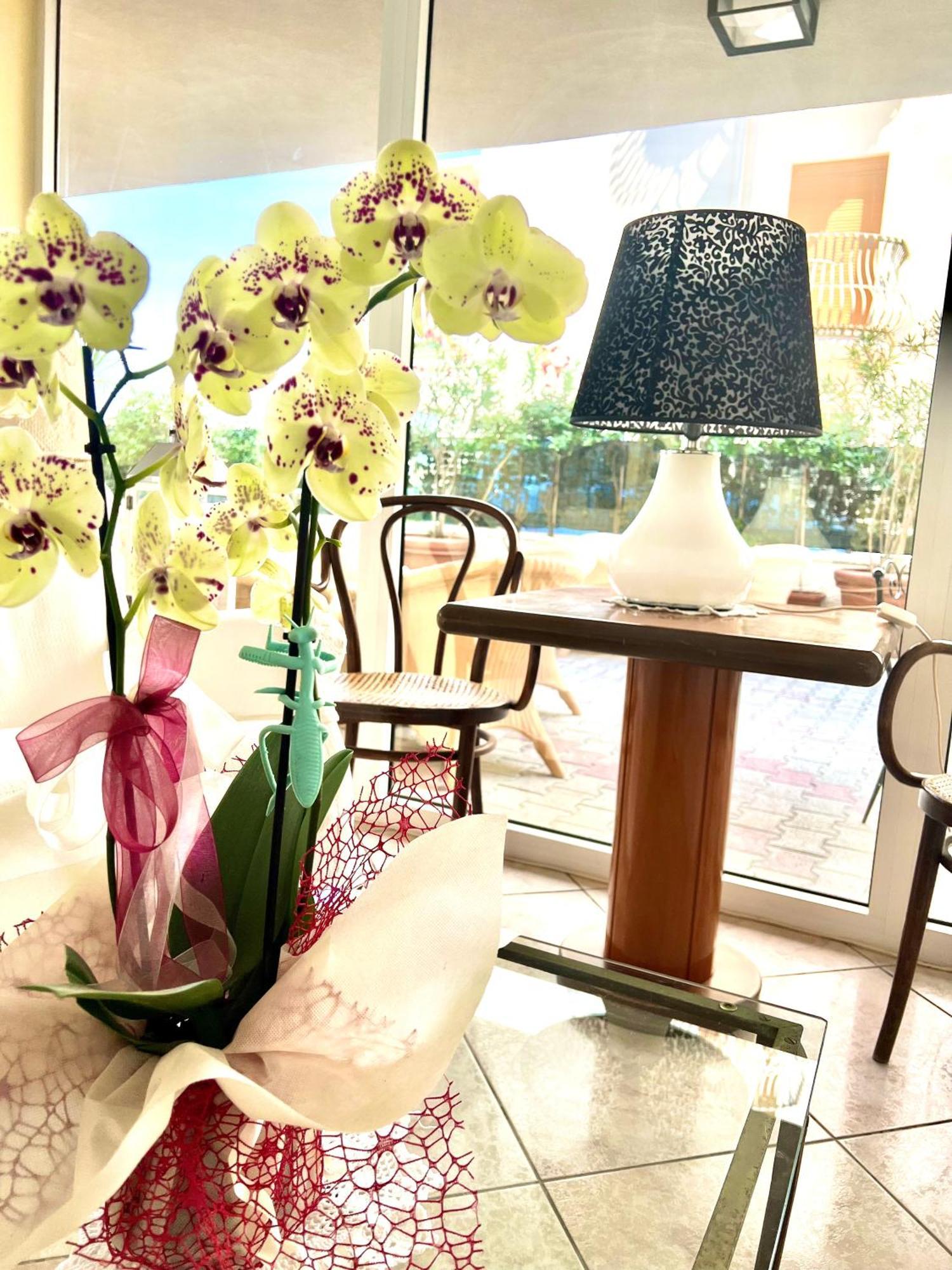 Hotel B&B Montecarlo Milano Marittima Bagian luar foto